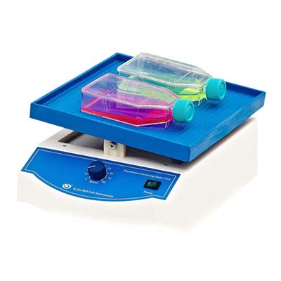 海門其林貝爾TS-8轉(zhuǎn)移脫色搖床