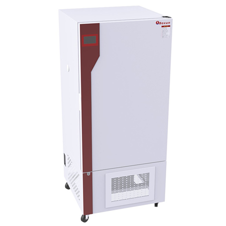 BXY-250藥品穩定性試驗箱